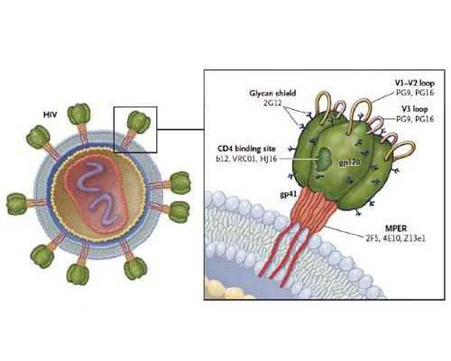 长沙生男孩代孕套餐,长沙地下供卵，1颗卵子20万