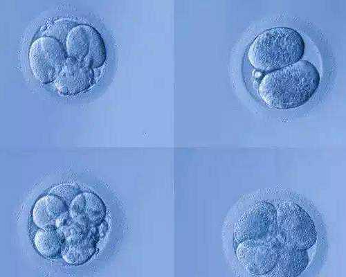 供卵试管费用_供卵上试管,滁州三代试管和二代试管的区别