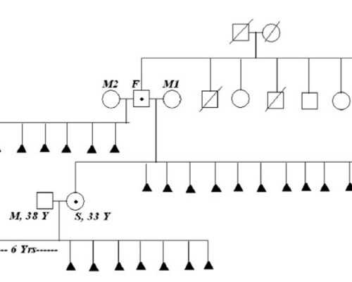 长沙帮人代生费用,2025长沙*殖医学医院做一次试管婴儿是怎么收费的