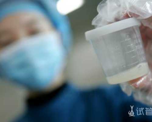 长沙供卵公司中心,深圳供卵包男孩,长沙供卵包男孩