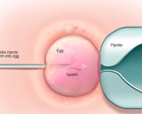 长沙代生男孩宝宝,美国试管前怎么做受孕率更高？-84鼠妈妈8月受孕生男生女