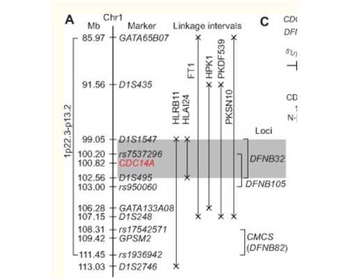 长沙正规卵子库,长沙供卵试管医院排名前五？附医院名单！