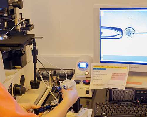 听障用户怎么科学助孕健康宝宝？