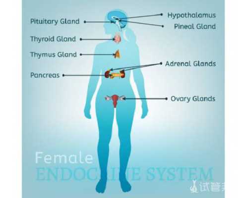 长沙哪家代孕医院最好,长沙中信湘雅医院排名前三的试管医生都有谁？