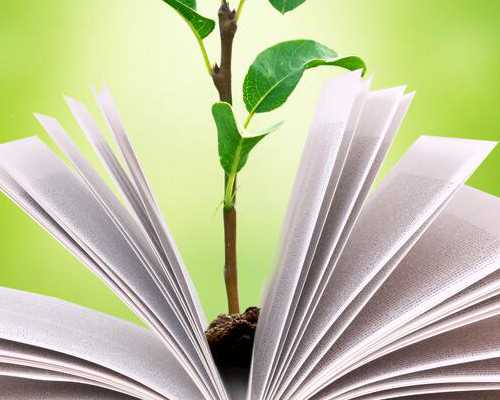 国内借卵试管_有名供卵试管,[莱芜试管婴儿]做试管之前，国内试管婴儿有哪些