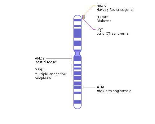 经期到底能不能喝咖啡