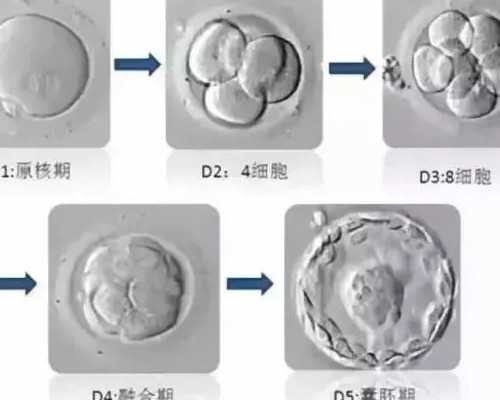 长沙试管供卵代怀价格表,长沙供卵试管中心
