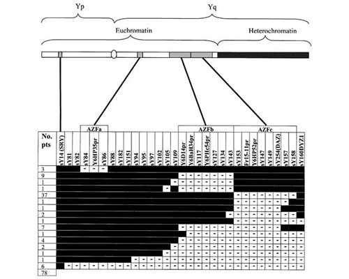 长沙供卵试管代怀,长沙做试管婴儿的费用多少钱？长沙第三代试管婴儿多少钱