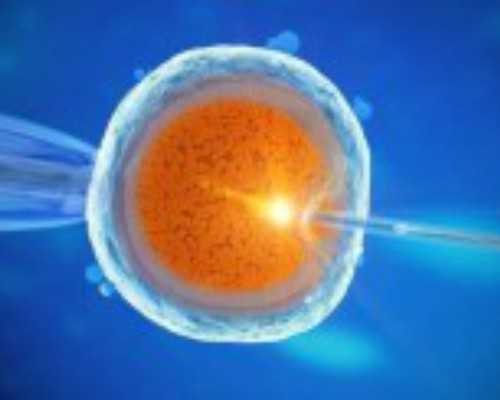 孕前饮食和生活小贴士：改变习惯，避免误区，创造美好未来