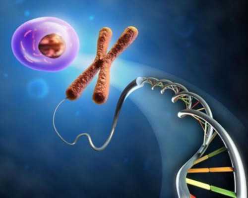 优质备孕 让你晋升为优秀准妈妈