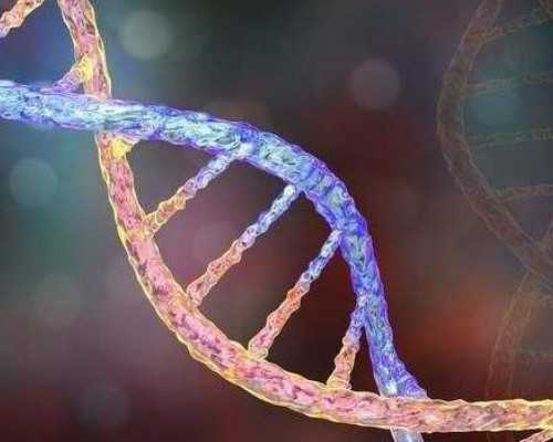 长沙代生成功产子,长沙中信湘雅供精试管可以选精吗？供精试管选精子可以吗