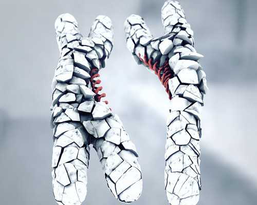 三代试管医院_试管婴儿捐卵,安琪儿试管优势(云南安琪儿试管)