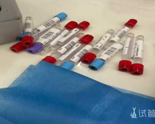 中山一好还是中山六试管技术好？手术费用哪个更低呢