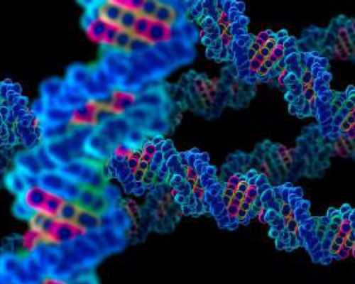 长沙助孕供精供卵,长沙湘雅医院做试管婴儿的效率及费用多少-上海私立医院供