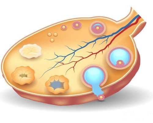 长沙有做代孕的公司吗,长沙机构供卵大概多少钱？附长沙供卵试管费用
