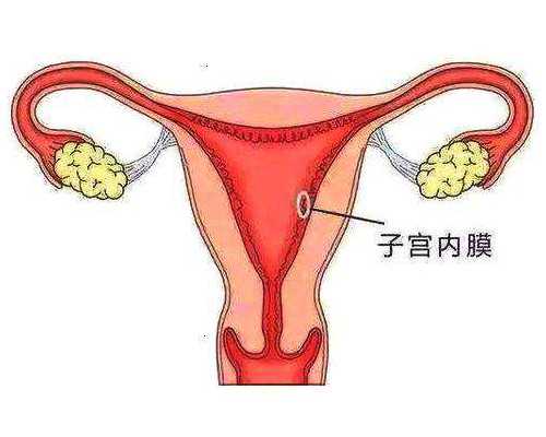 试管借卵费用_拉拉试管费用,试管婴儿是试管里长大的？真相来了！