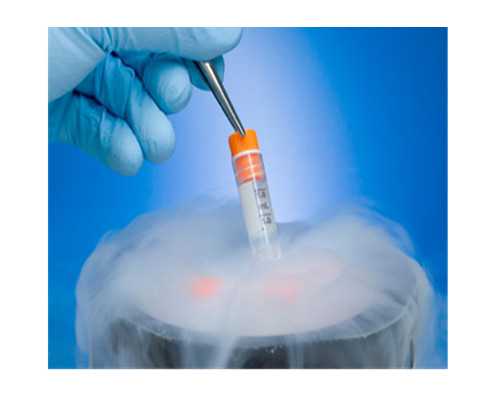 试管借卵_试管接受供卵,，江门试管江门市中心医院试管婴儿技术如何[广东试管