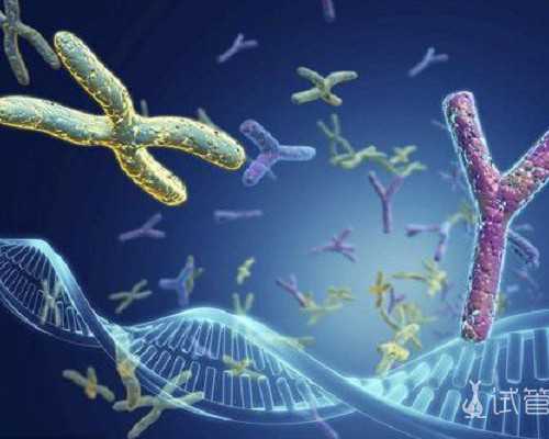 束腹带好还是纱布好