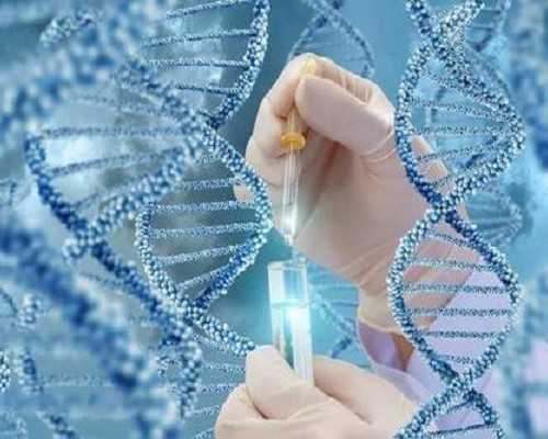 长沙三代捐卵,做试管婴儿前需要补充叶酸吗？-中介帮忙验血男女多久出结果