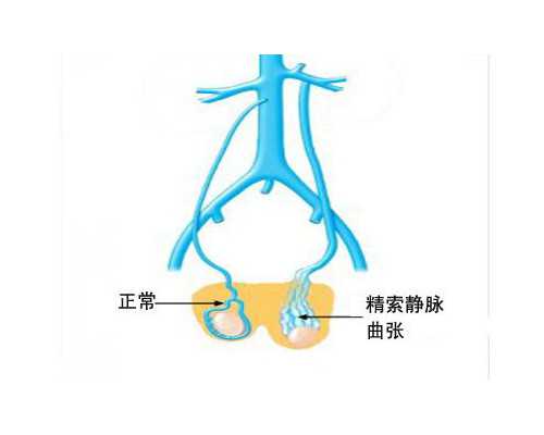 长沙哪有借卵医院,试管婴儿最痛苦的步骤是哪一步？_移植后生化出血和着床出