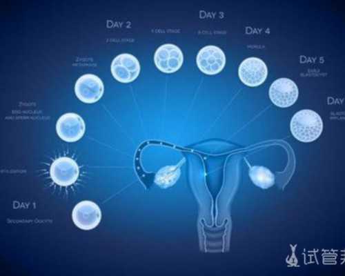 长沙供卵去哪里,长沙做试管婴儿公立医院好还是私立医院？