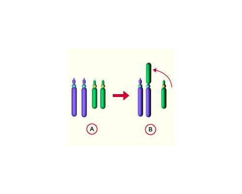 长沙试管生子医院,长沙助孕机构供卵试管选性别