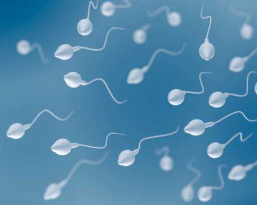 三代试管包生_三代试管准备,试管科普|做试管婴儿为什么要养囊？