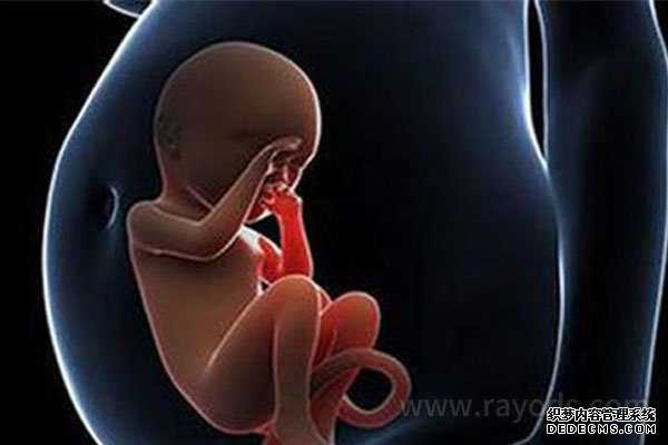 济南捐卵用的针管_赴美试管婴儿怀双胞胎很容易早产吗？