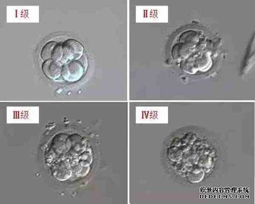 翼城县捐卵工作_翼城县捐卵去干嘛_试管婴儿鲜胚囊胚是怎么回事 为何要养囊？