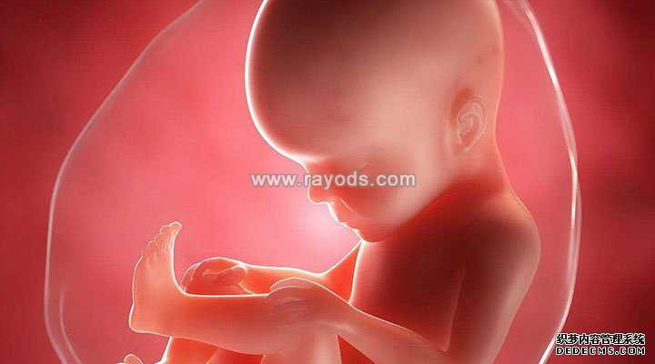捐卵最高价格_做试管婴儿对精子质量的要求是什么